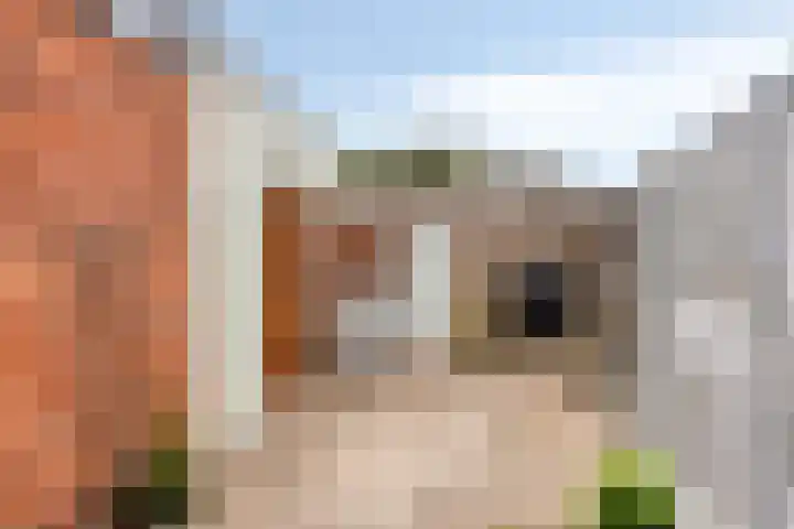Herman de Manlaan 9 IJsselstein thumbnail 23