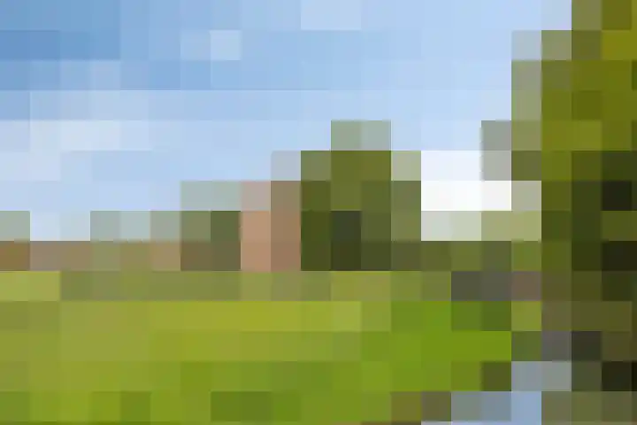 Herman de Manlaan 9 IJsselstein thumbnail 31