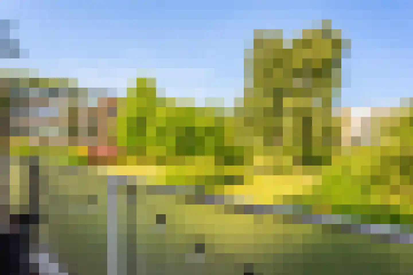 Herman de Manstraat 112 Ridderkerk thumbnail 21