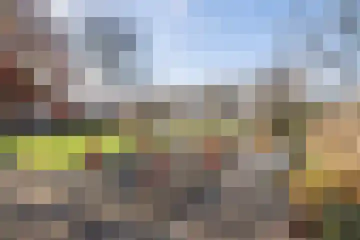 Herman de Manstraat 13 Ridderkerk thumbnail 22