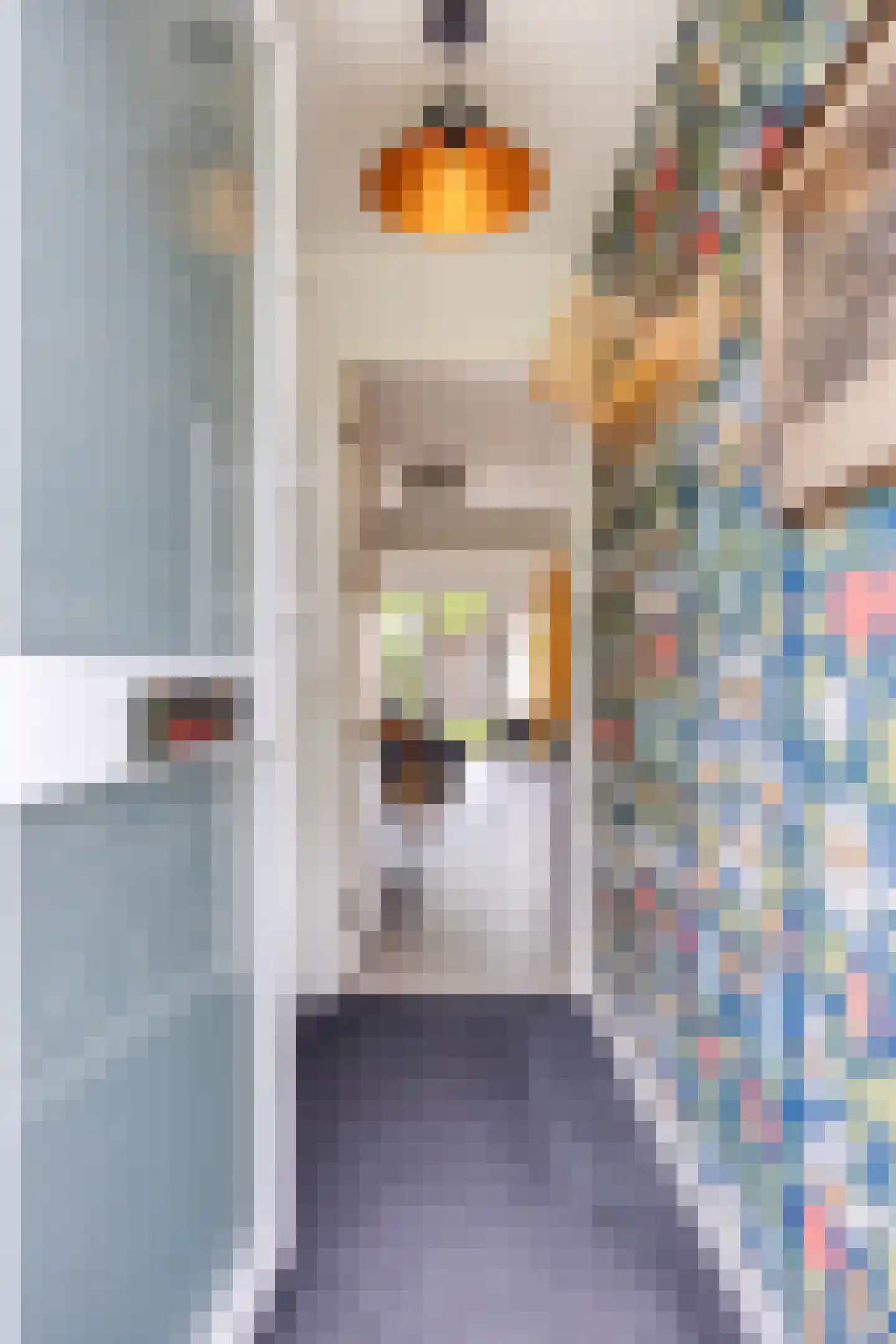 Herman de Manstraat 14 Amsterdam thumbnail 11