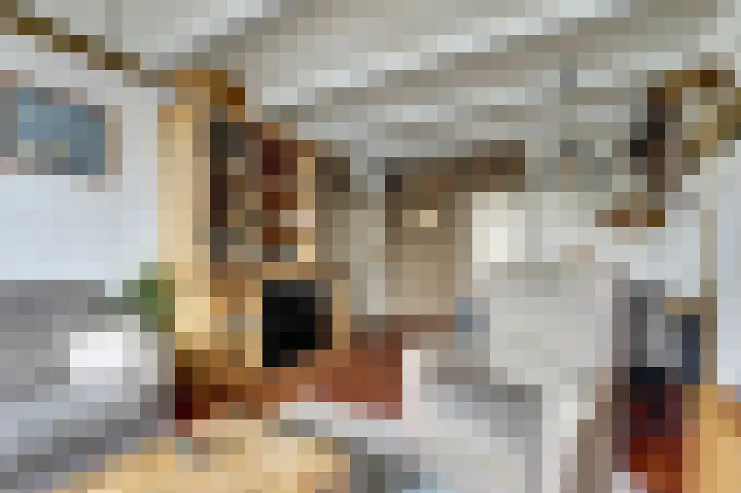 Herman de Manstraat 26 Ridderkerk thumbnail 11