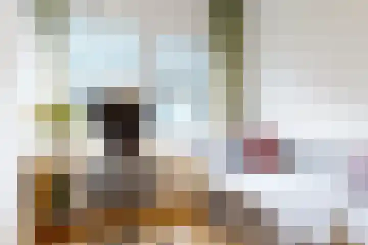 Herman de Manstraat 3 Utrecht thumbnail 14