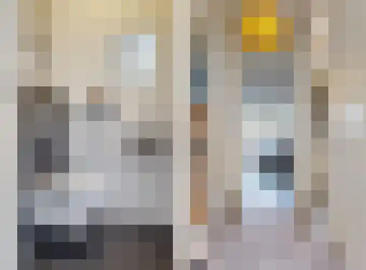 Herman de Manstraat 3 Utrecht thumbnail 18