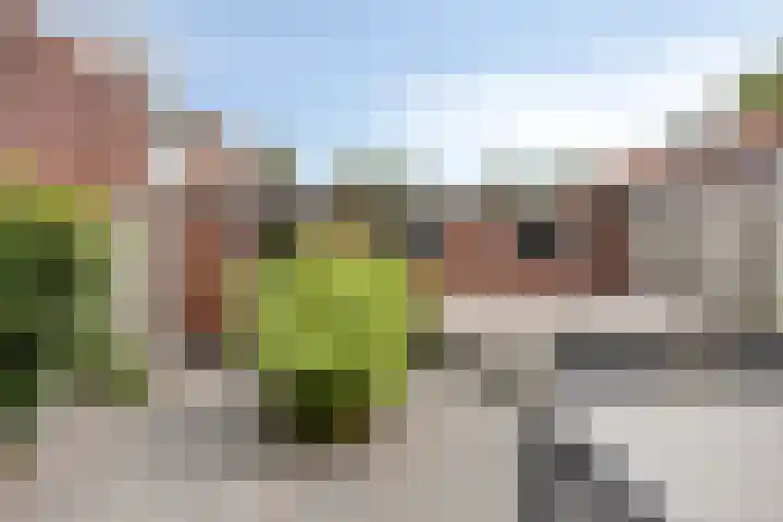 Herman de Manstraat 48 Oudewater thumbnail 13