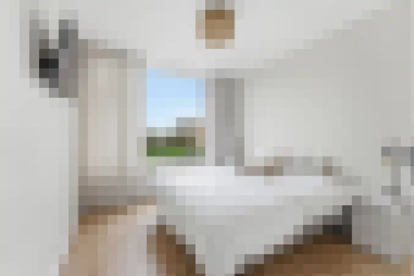 Herman de Manstraat 53 Ridderkerk thumbnail 33