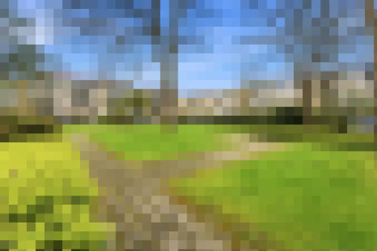 Herman de Manstraat 53 Ridderkerk thumbnail 46