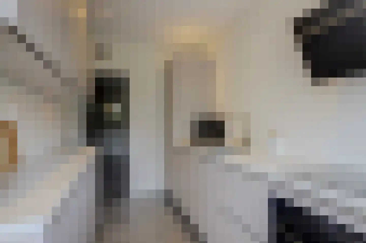 Herman de Manstraat 6 Ridderkerk thumbnail 19