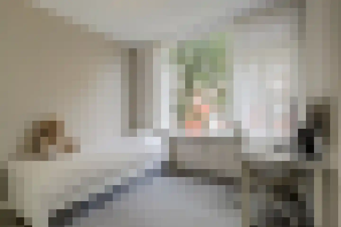 Herman de Manstraat 6 Ridderkerk thumbnail 26