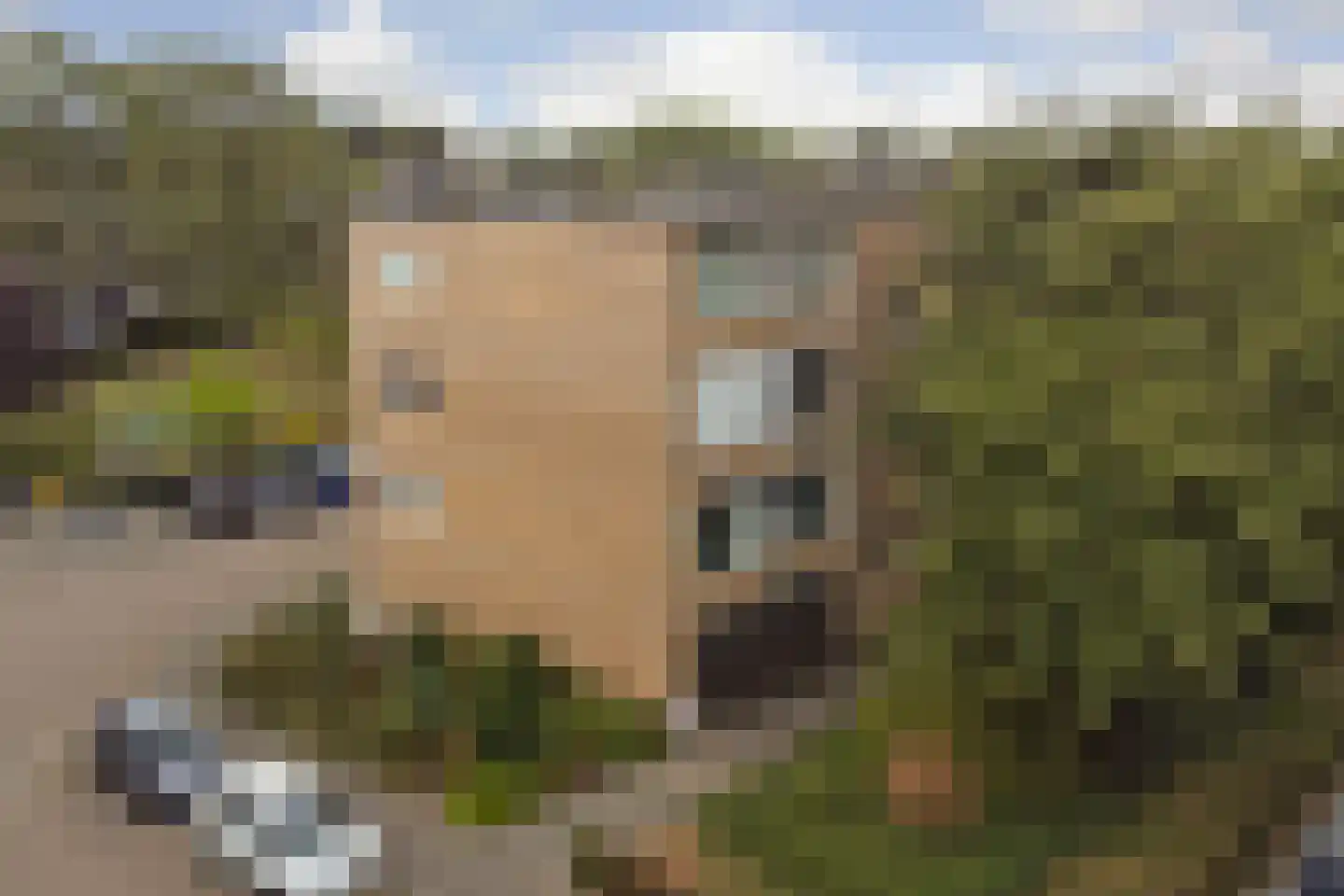 Herman de Manstraat 6 Ridderkerk thumbnail 42