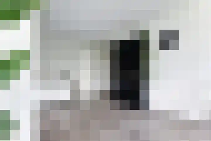 Herman de Manstraat 86 Ridderkerk thumbnail 5
