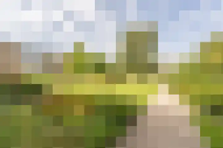 Herman de Manstraat 96 Ridderkerk thumbnail 5