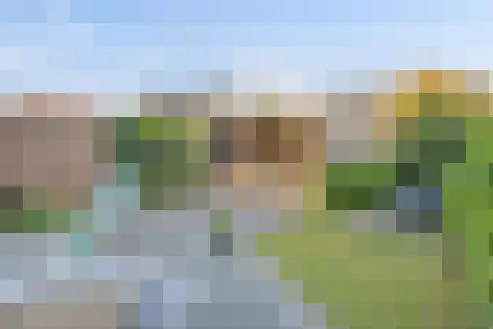 Herman de Ruijterstraat 12 Poederoijen thumbnail 4