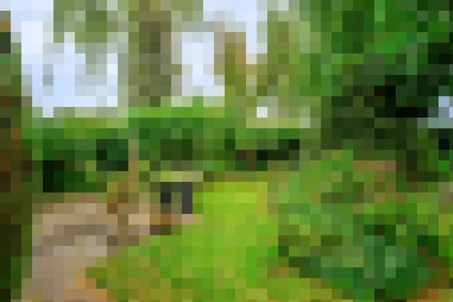 Herman de Ruijterweg 2 Sleeuwijk thumbnail 32