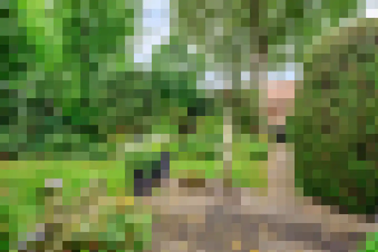 Herman de Ruijterweg 2 Sleeuwijk thumbnail 33