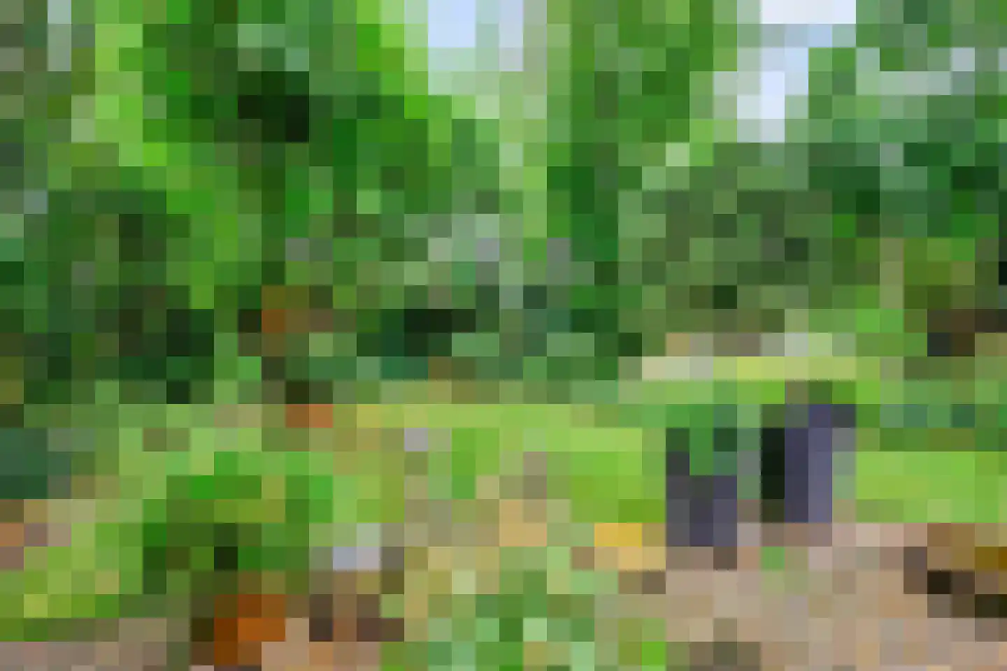 Herman de Ruijterweg 2 Sleeuwijk thumbnail 34