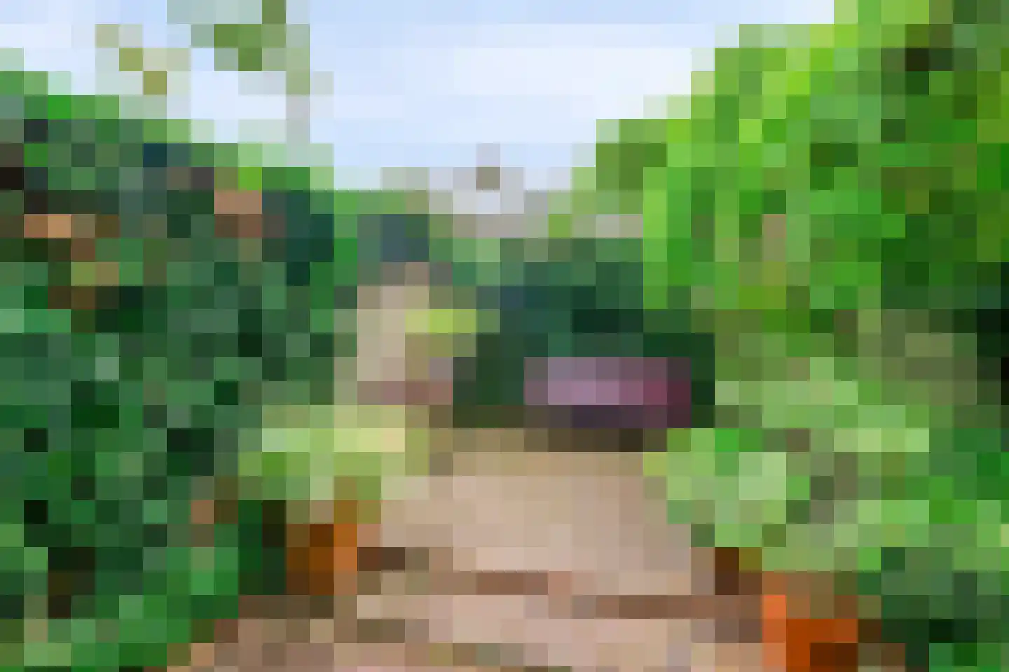 Herman de Ruijterweg 2 Sleeuwijk thumbnail 37