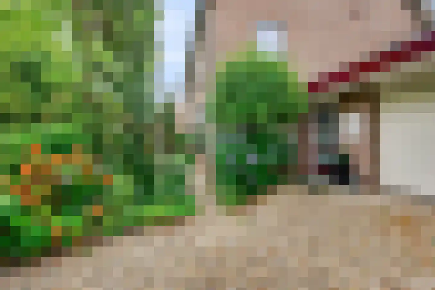 Herman de Ruijterweg 2 Sleeuwijk thumbnail 6