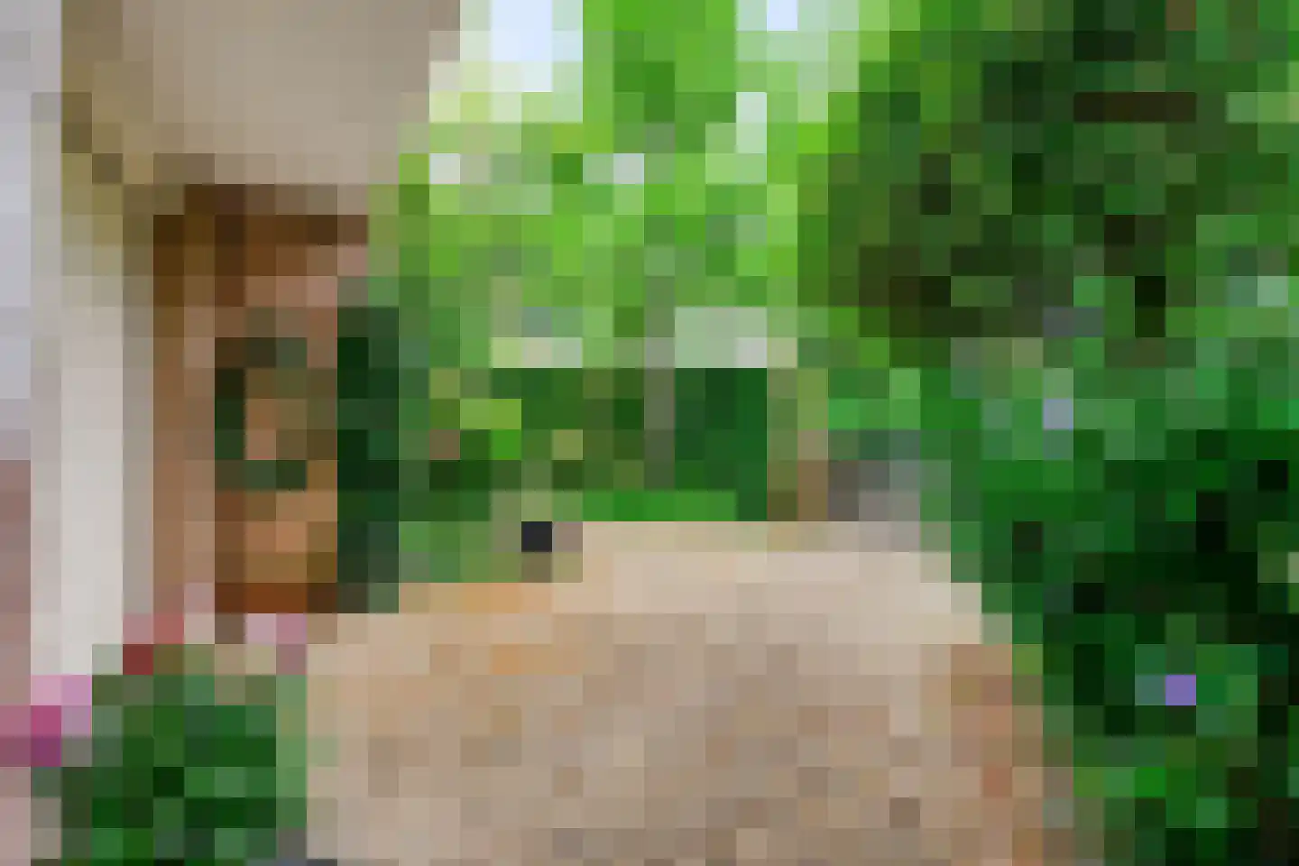 Herman de Ruijterweg 2 Sleeuwijk thumbnail 7