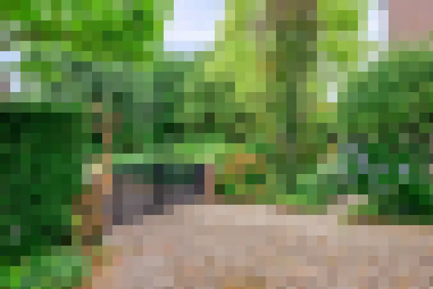 Herman de Ruijterweg 2 Sleeuwijk thumbnail 8