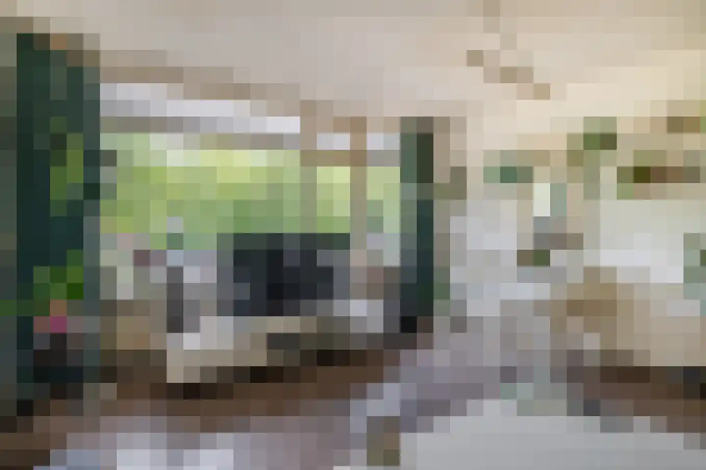 Herman Gorterhof 102 Delft thumbnail 4