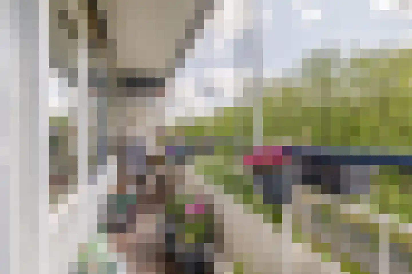 Herman Gorterhof 102 Delft thumbnail 8