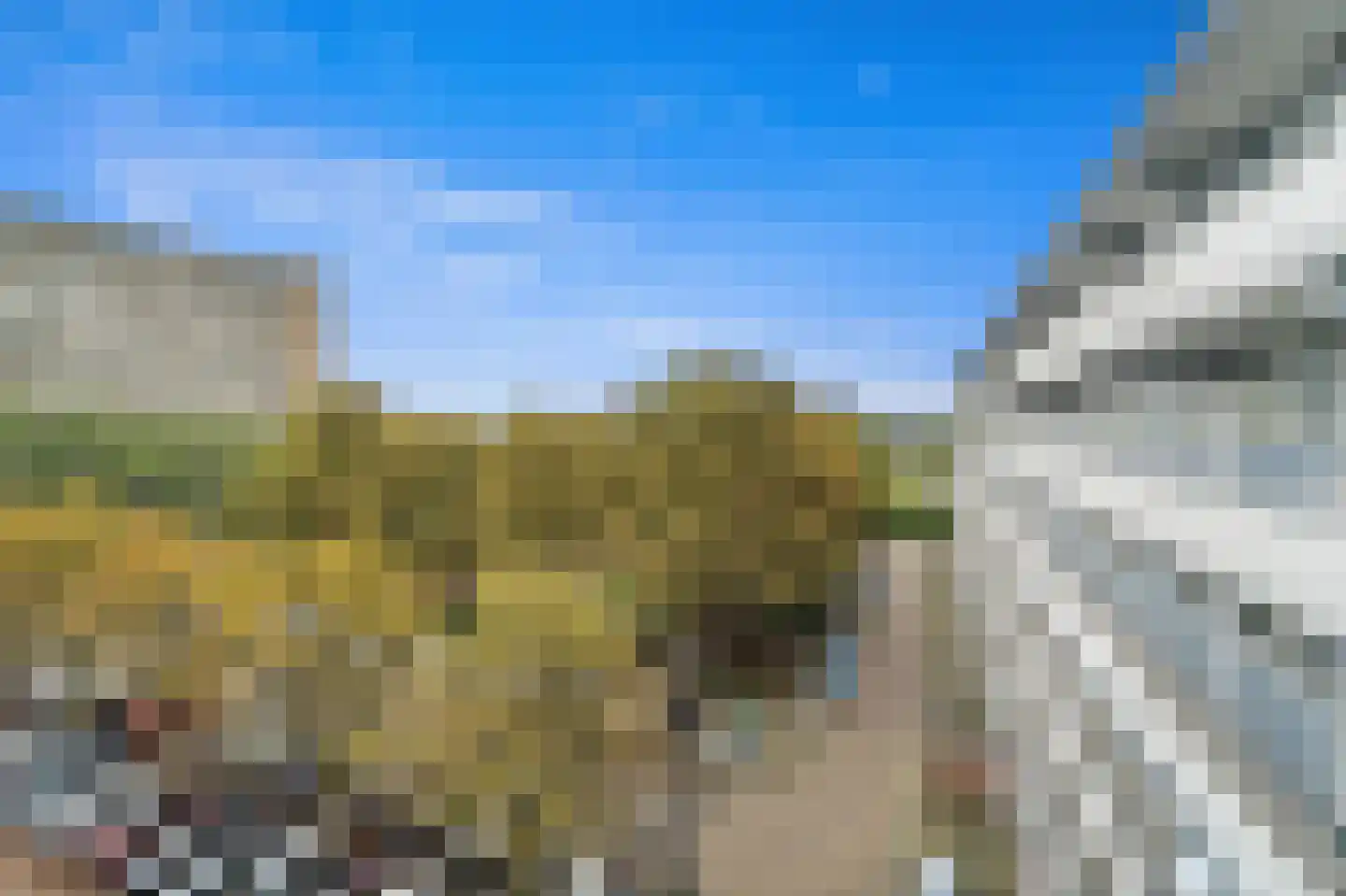 Herman Gorterhof 116 Delft thumbnail 25
