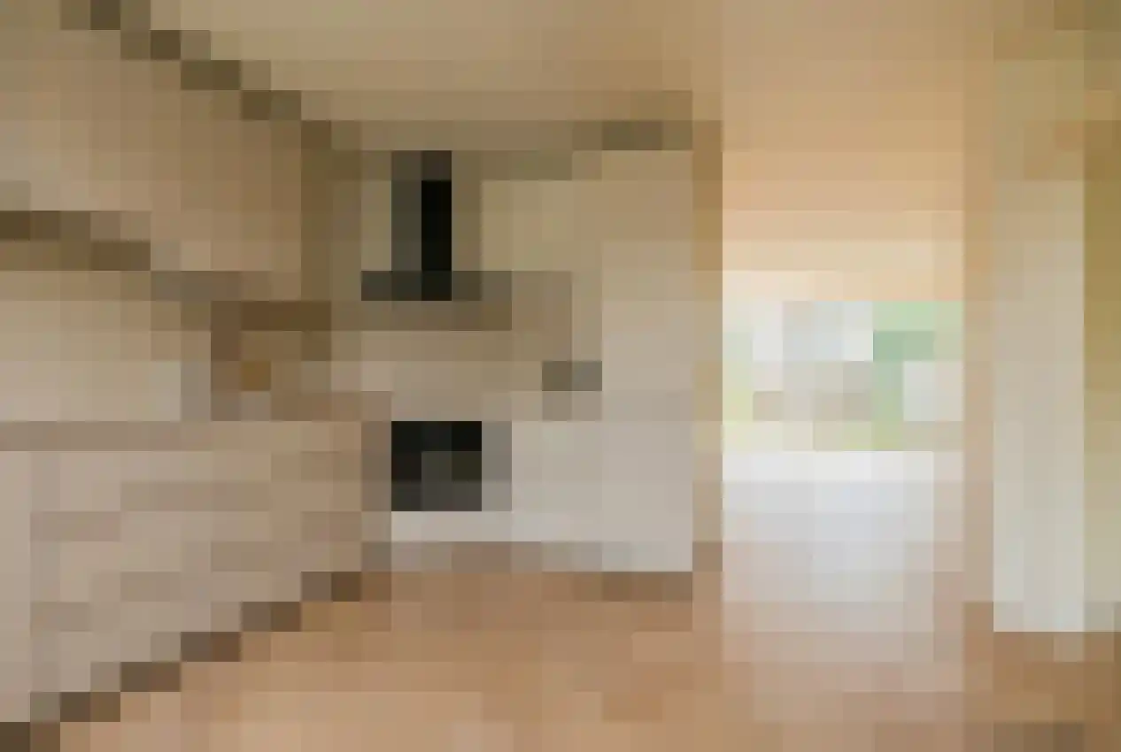Herman Gorterhof 120 Uithoorn thumbnail 12