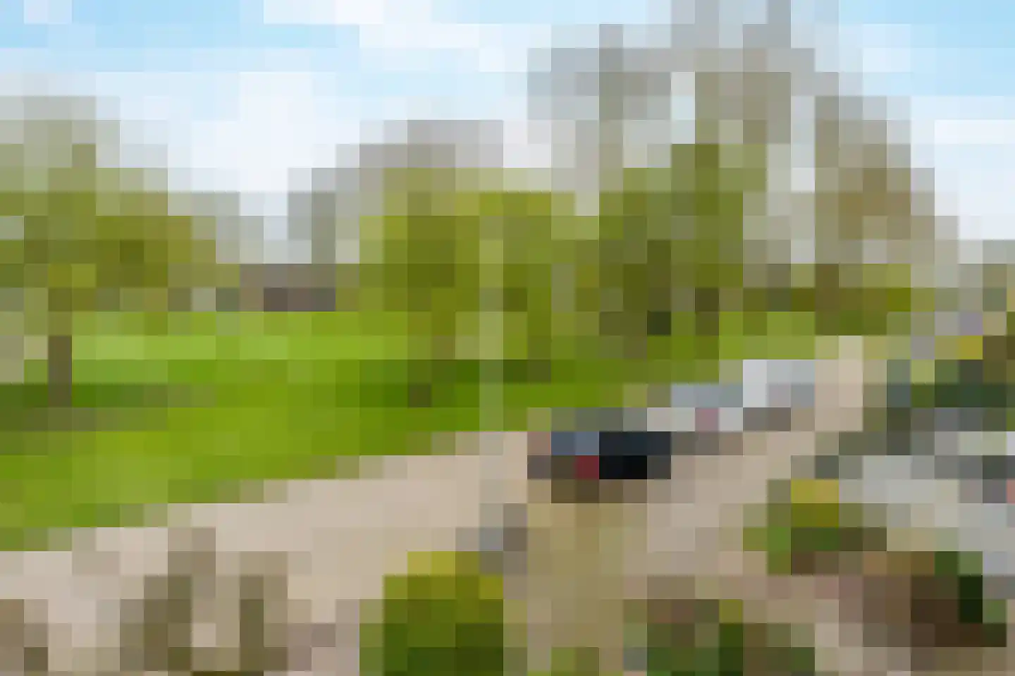 Herman Gorterhof 120 Uithoorn thumbnail 27