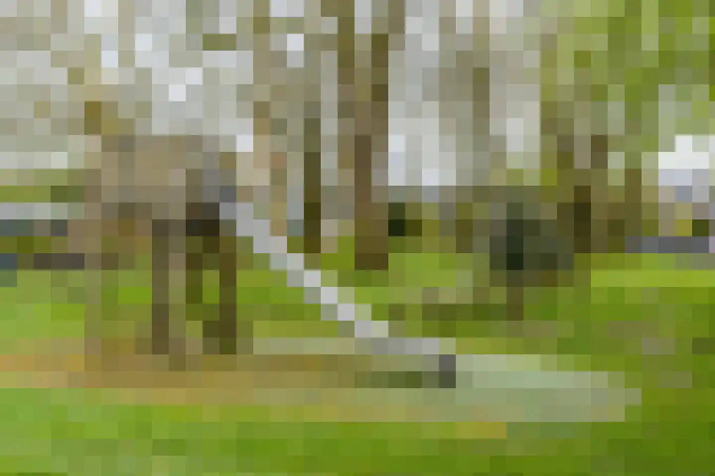 Herman Gorterhof 120 Uithoorn thumbnail 31