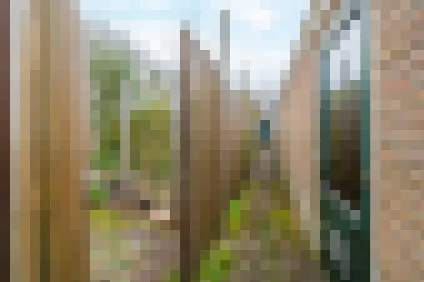 Herman Gorterhof 120 Uithoorn thumbnail 8