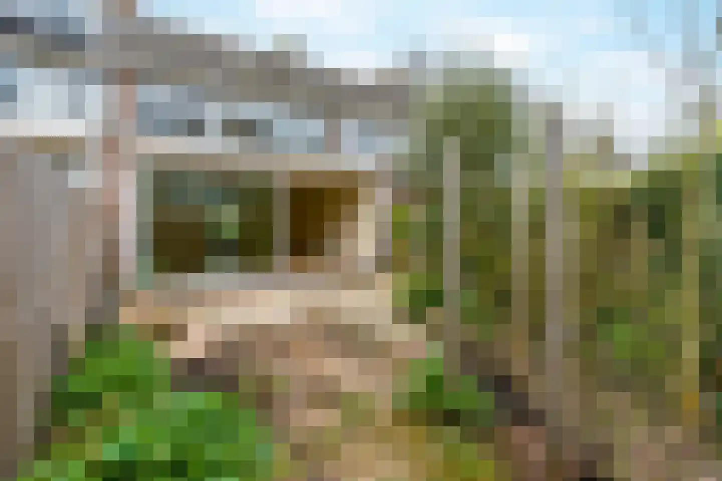 Herman Gorterhof 120 Uithoorn thumbnail 9