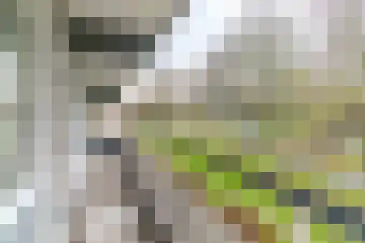 Herman Gorterhof 31 Delft thumbnail 13