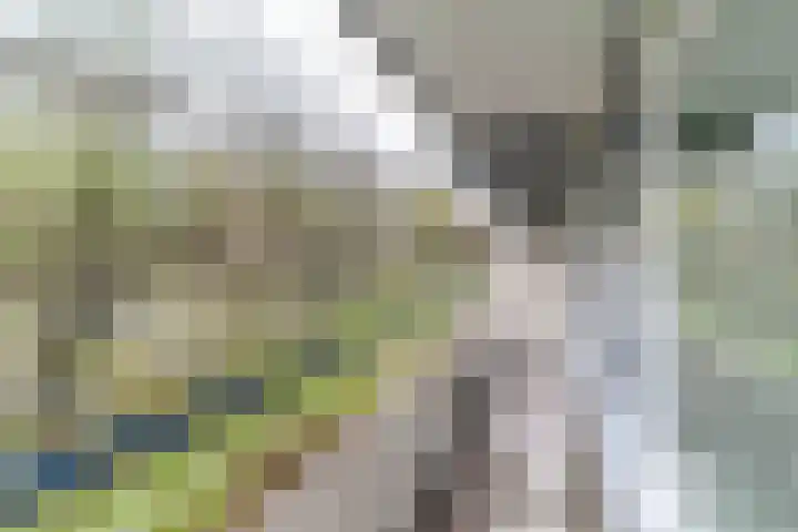 Herman Gorterhof 31 Delft thumbnail 14