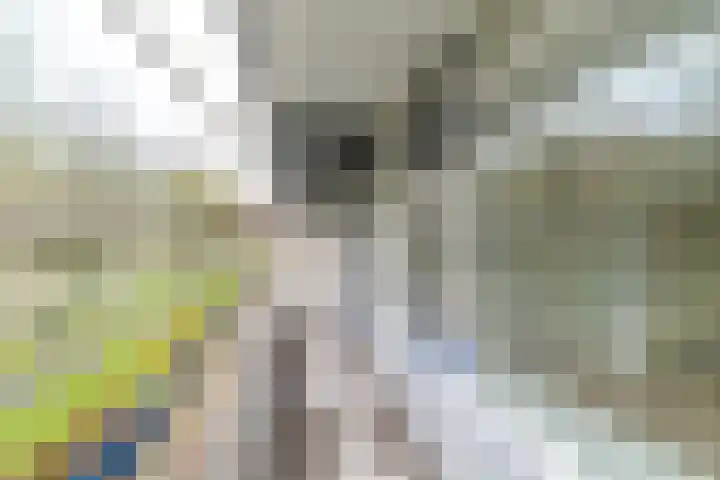 Herman Gorterhof 31 Delft thumbnail 15