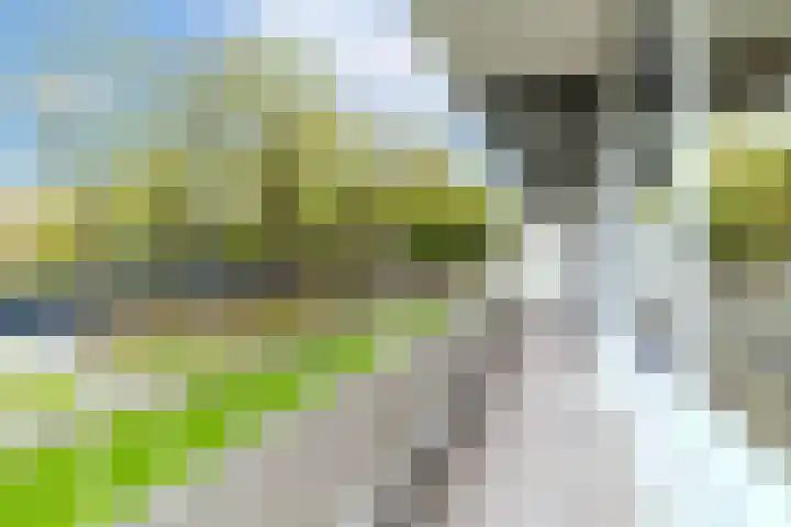 Herman Gorterhof 35 Delft thumbnail 23