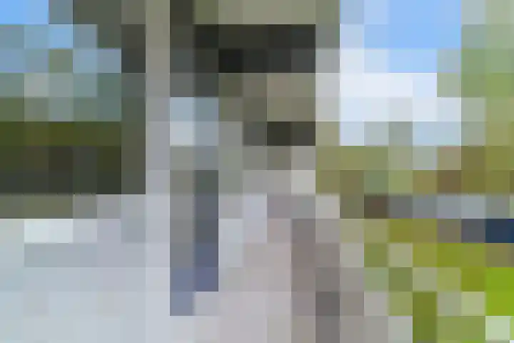 Herman Gorterhof 35 Delft thumbnail 25
