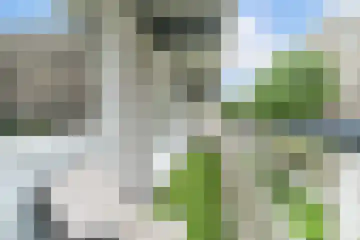 Herman Gorterhof 47 Delft thumbnail 19