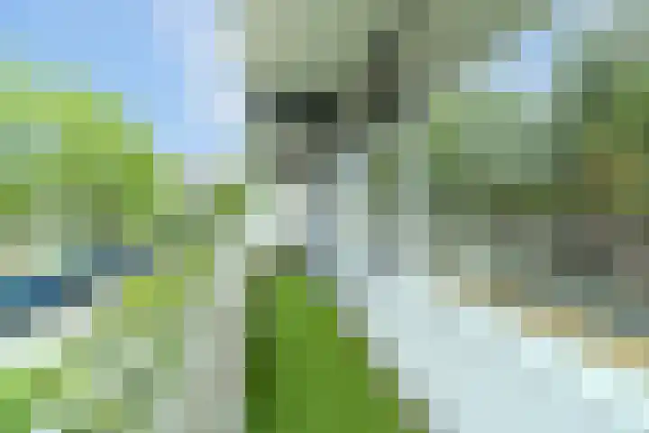 Herman Gorterhof 47 Delft thumbnail 20