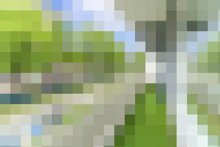 Herman Gorterhof 47 Delft thumbnail 21