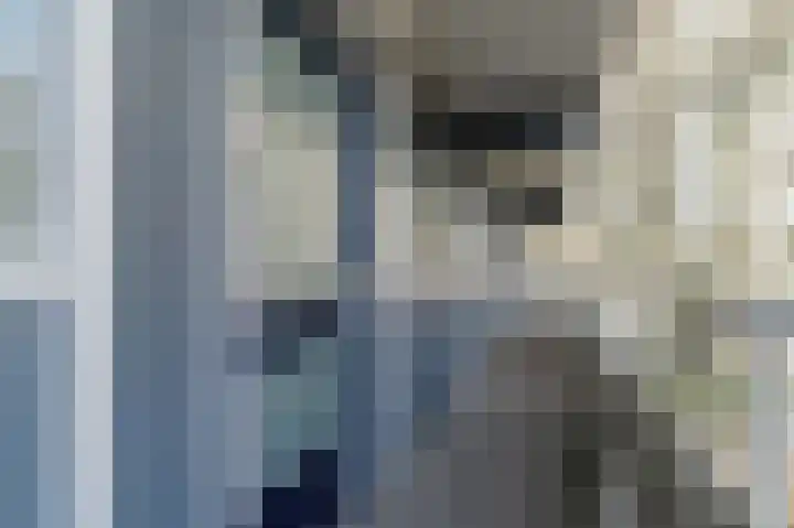 Herman Gorterhof 66 Delft thumbnail 5