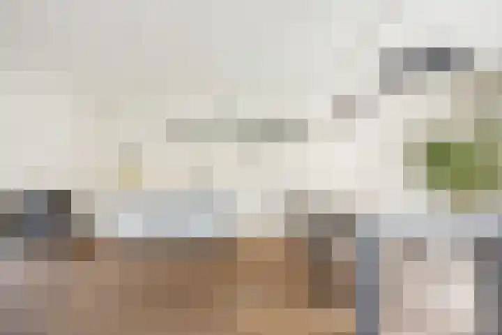 Herman Gorterhof 72 Uithoorn thumbnail 12