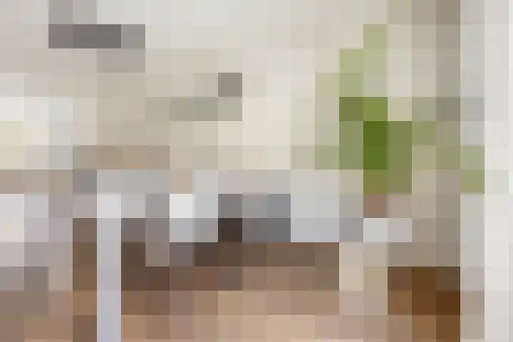 Herman Gorterhof 72 Uithoorn thumbnail 14