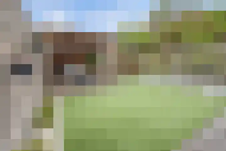 Herman Gorterhof 72 Uithoorn thumbnail 16