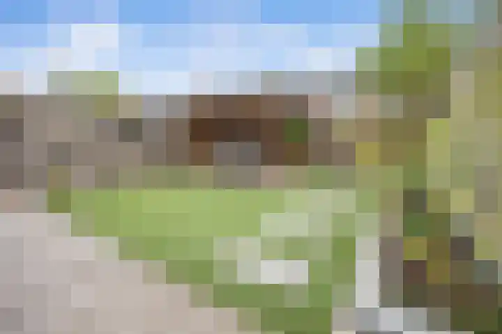 Herman Gorterhof 72 Uithoorn thumbnail 21