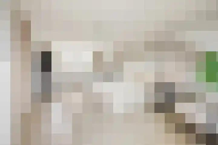 Herman Gorterhof 72 Uithoorn thumbnail 36