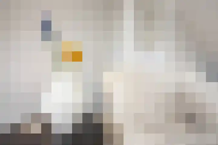Herman Gorterhof 72 Uithoorn thumbnail 39