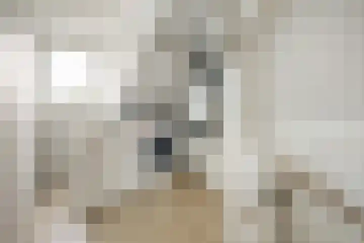 Herman Gorterhof 72 Uithoorn thumbnail 42