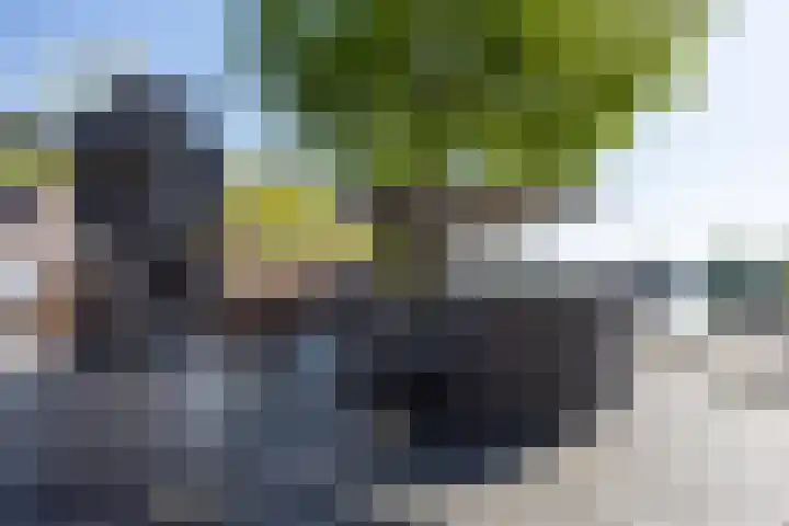 Herman Gorterhof 72 Uithoorn thumbnail 53