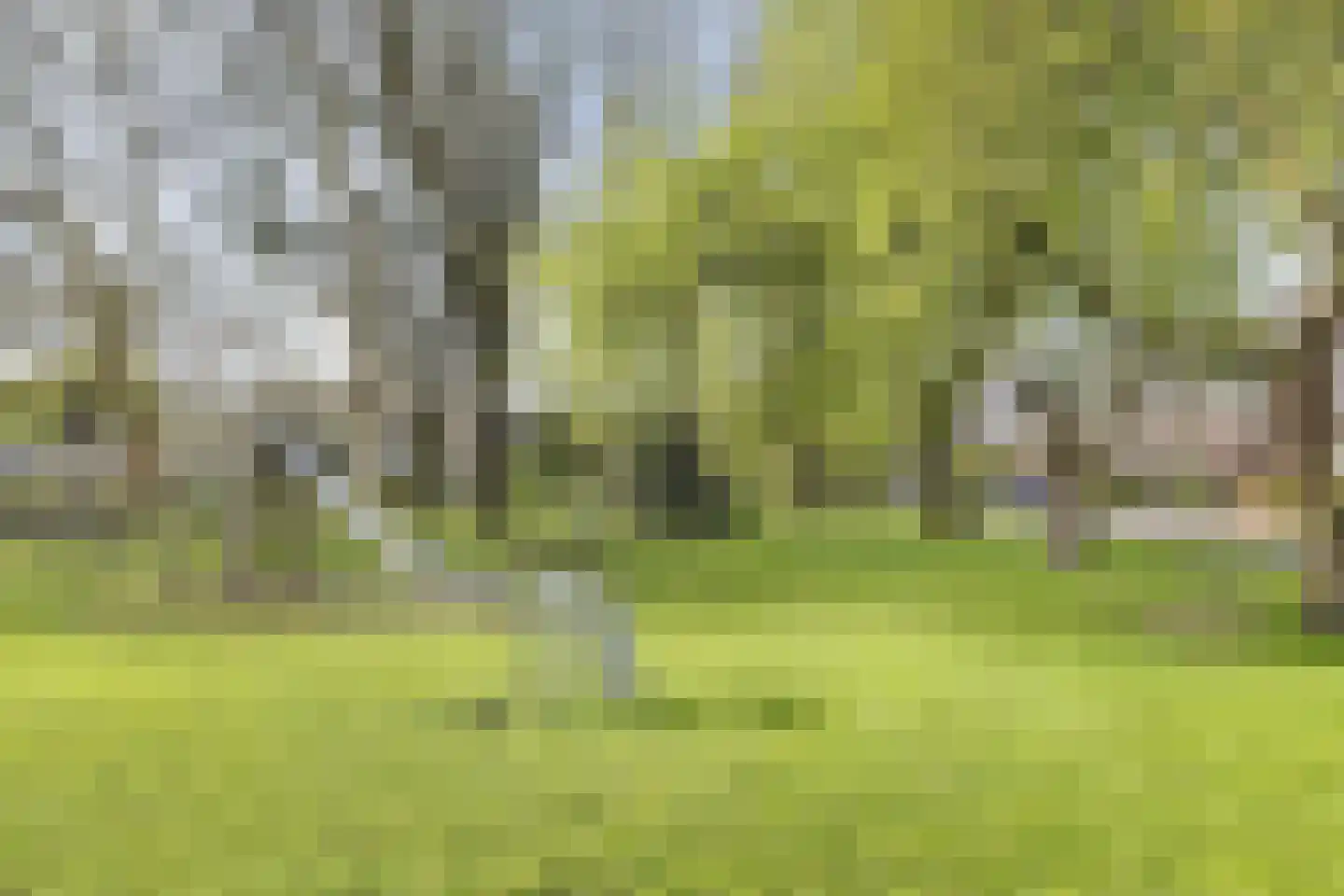 Herman Gorterhof 82 Uithoorn thumbnail 27